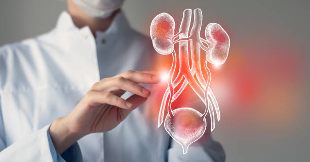 Kidney Infection Treatment in Delhi