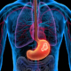 Gastric Cancer: Causes, Symptoms, Diagnosis & Treatment