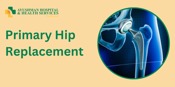 Primary Hip Replacement by Dr. Raj Kumar